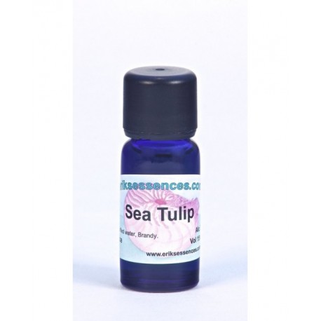 Sea Tulip - Bluish Turquoise - 15ml