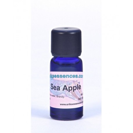 Sea Apple - Pale Turquoise - 15ml