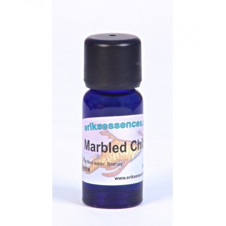 Marbled Chiton - Pale Indigo - 15ml